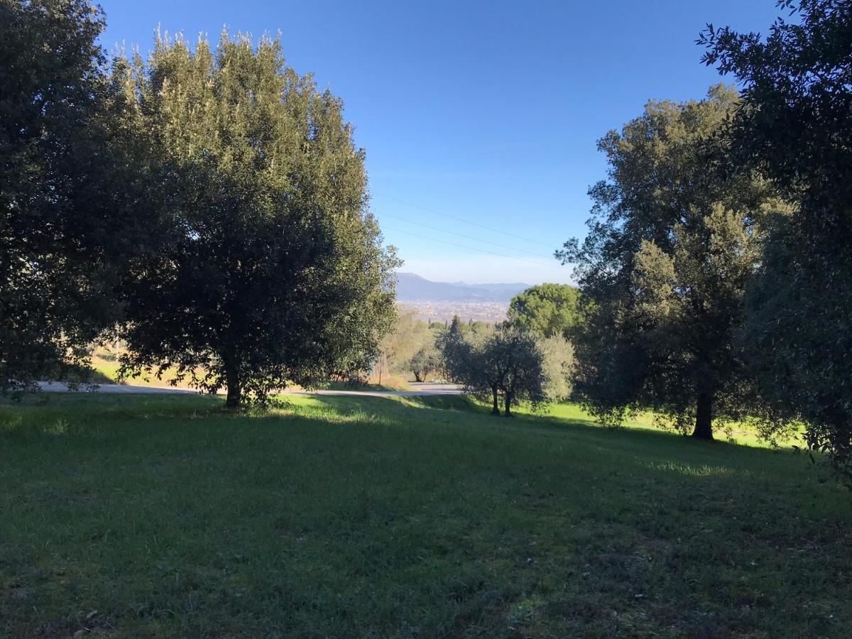 La Residenza Dei Piaceri Perduti- Le Volte Διαμέρισμα Lastra a Signa Εξωτερικό φωτογραφία